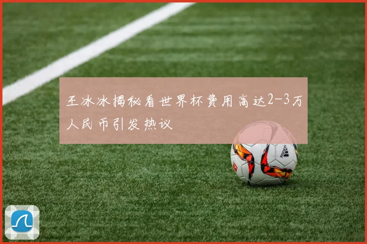 王冰冰揭秘看世界杯费用高达2-3万人民币引发热议